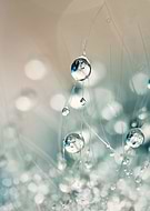 2014-11-17/66f3d511dd31f7e892c1d696834a04d6