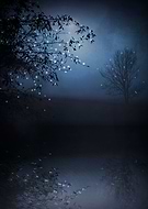 2014-12-13/bbeca8553c3f13ab0ace4b59cf632169