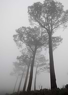 2015-01-06/7a3d1999ae30b3201c069126199fee7b