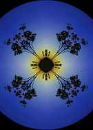 2015-01-31/609cb2c8b6863751e93ea8ab0b0934f5