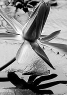 2015-02-06/bd3905d649dfca3de797ae8adce1bb88