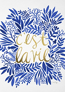 2015-02-11/09d9f5c87f354e46e199248ee4f91f29