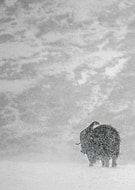 2015-02-11/31284659715d149d26b9187ddb1ae96a