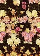 2015-02-15/94499c60040e4761683a5bd3254a4619