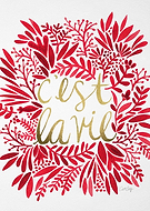 2015-02-24/f71ae2b52550df9a5b476104e1112621