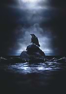 2015-02-25/2c44d0e13662533fe8fb6fc759e3e26b