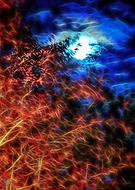 2015-02-28/19461a6ce8da79723919bbee7e4a92bc