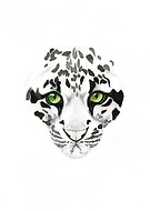 2015-03-10/5efd5b3bba0fea38e9cbd8f1256b1c55