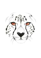 2015-03-10/ba9d6e2caac3fbc93b0b3ead21d79f4c