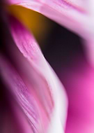 2015-03-29/4d7a23a4111cc316c8338c5898e9821f