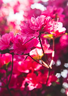 2015-05-10/34e3a5e9057846a82caaf742f03d33bf