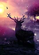 2015-05-13/e591732aba03f949ba8c2cd11c0be652