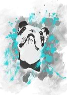 2015-05-19/b67b9e968579a21291927758a5377582