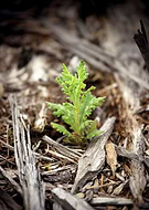 2015-05-30/0d1464081868cd05ac220c544678725b