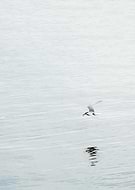 2015-05-31/37e8c5ef5044262ad88a6fba1a21516b