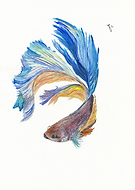 2015-06-02/fccffc47ba760ac3a8b586101cfef75e