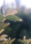 2015-06-07/d1942a882956fc8edfce7a5f332f2cd6