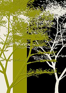 2015-07-03/98b6853a1092371d4b9c80c20fa83253