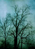 2015-07-09/200117a74f5377e9b3f035f3b7ce08c3