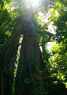 2015-07-09/8efd885197c9b31c4de9028d2d1bf434