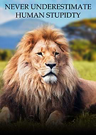 2015-08-11/6f4c1a82285107123e70bc7745f91358