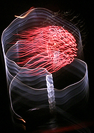 2015-08-13/df407f0f28959680e8d7c34d3efb3a57