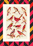 2015-08-18/3ab1bacca44516787afa6d0baf6e9138