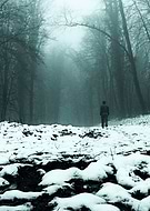 2015-08-21/46dce3afea20b851f5b39c279be23b8d