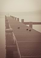 2015-09-21/40c73297dcf6b0d1e61752fc383d9666