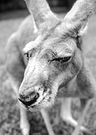 2015-09-26/9ae70835ec481bd9a03a2b65e5936a34