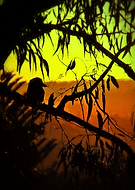 2015-09-27/db740ab1ade6c6c3e07f05bad2311d63