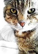 2015-10-27/37926470dcd0d6de74f2769685455a9a