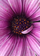 2015-11-02/d09f91ba4f1225dbc04fa680fe89c225