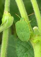 2015-11-02/e3ce0bb2b7ddfafcee3f561b85065742