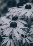 2015-11-08/327ed35e83e00bb94d9de2f7f74a14bf