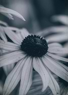 2015-11-08/6a310f28f72b116c97d12422b0be9a95