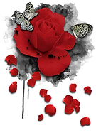 2015-11-14/5a14b74643624aff8da374926004dddc