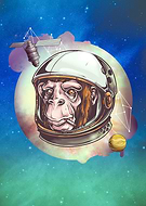 2015-11-19/7c6d6b9f2b1a1a3d7ac1200fdb3682c6