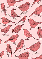 2015-11-26/9d90e278feb0764e0a5ff8aa1864921e