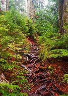 2015-12-10/6054c875ab6ff3311f750b47e97f1fe1