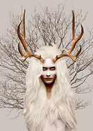 2015-12-18/5fd4d57541424649ecbb88eadb979654