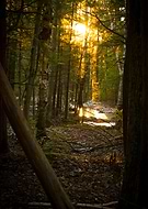 2016-01-01/471c544b4cbdd8d2f3a7722d3cec0d24