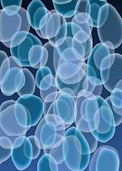 2016-01-16/210603f6133a1be157706fc6e20af885