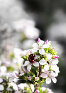 2016-01-25/07b24d13128e892075743f464e3e2252