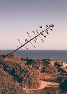 2016-01-29/aab5eefe1c9e8e243ee7c160bc98fdd5