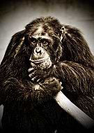 2016-01-29/b845cc7639fdae0689193eb667a53037