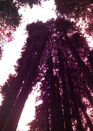 2016-01-30/3f4b305b4d2665884cc229aad0915f1a