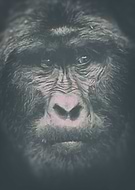 2016-02-02/4ae4b762d4cf0d17b67fe579685f8255