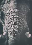 2016-02-02/e0ecb71cd3121c5b17cdf492ad5d27d9