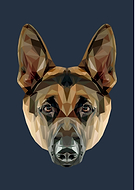 2016-02-03/1a6cd87194e3a56a9d72033536d0ea2c